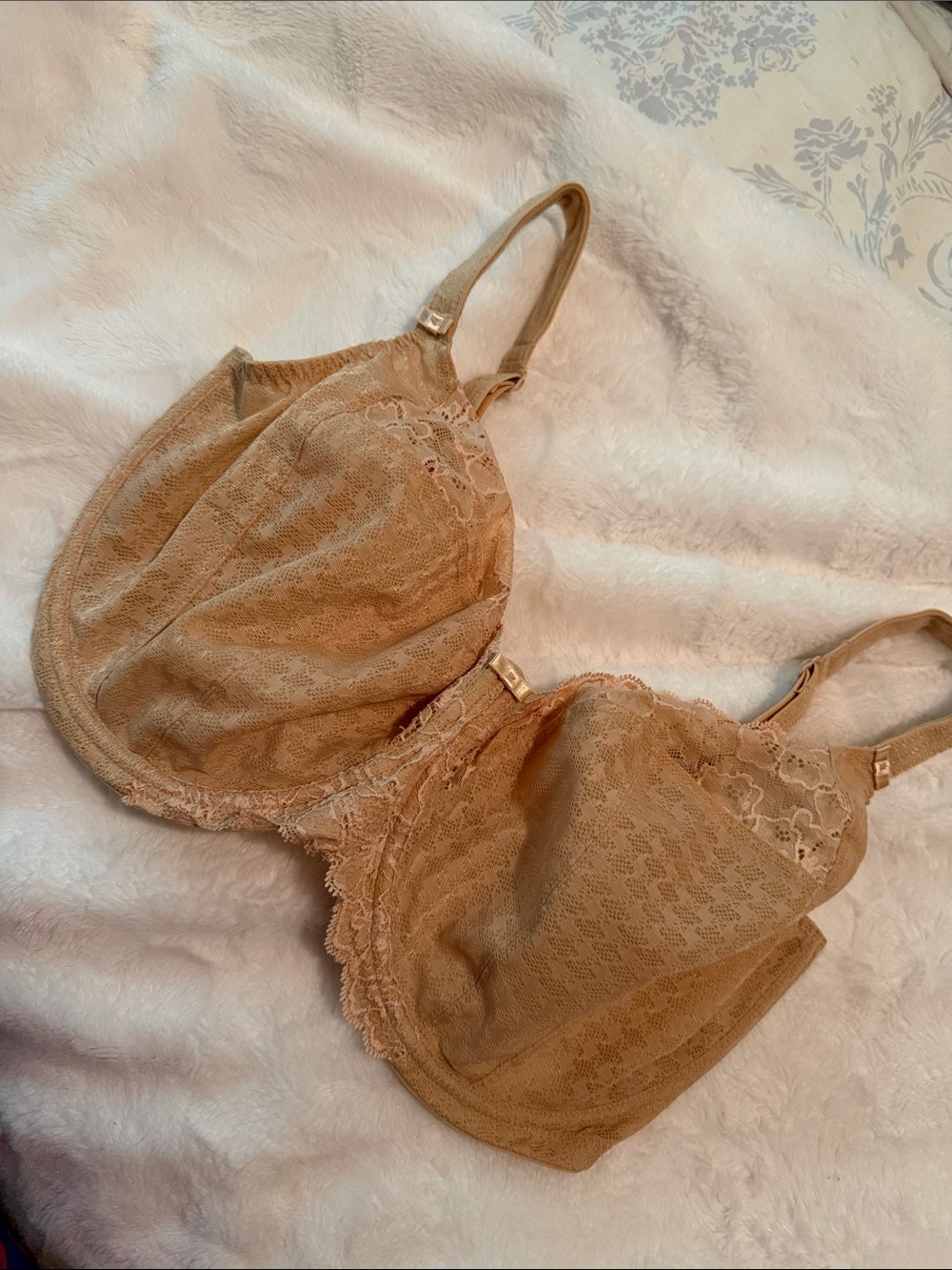 Panache Beige Lace Full Coverage Underwire Bra 36 H